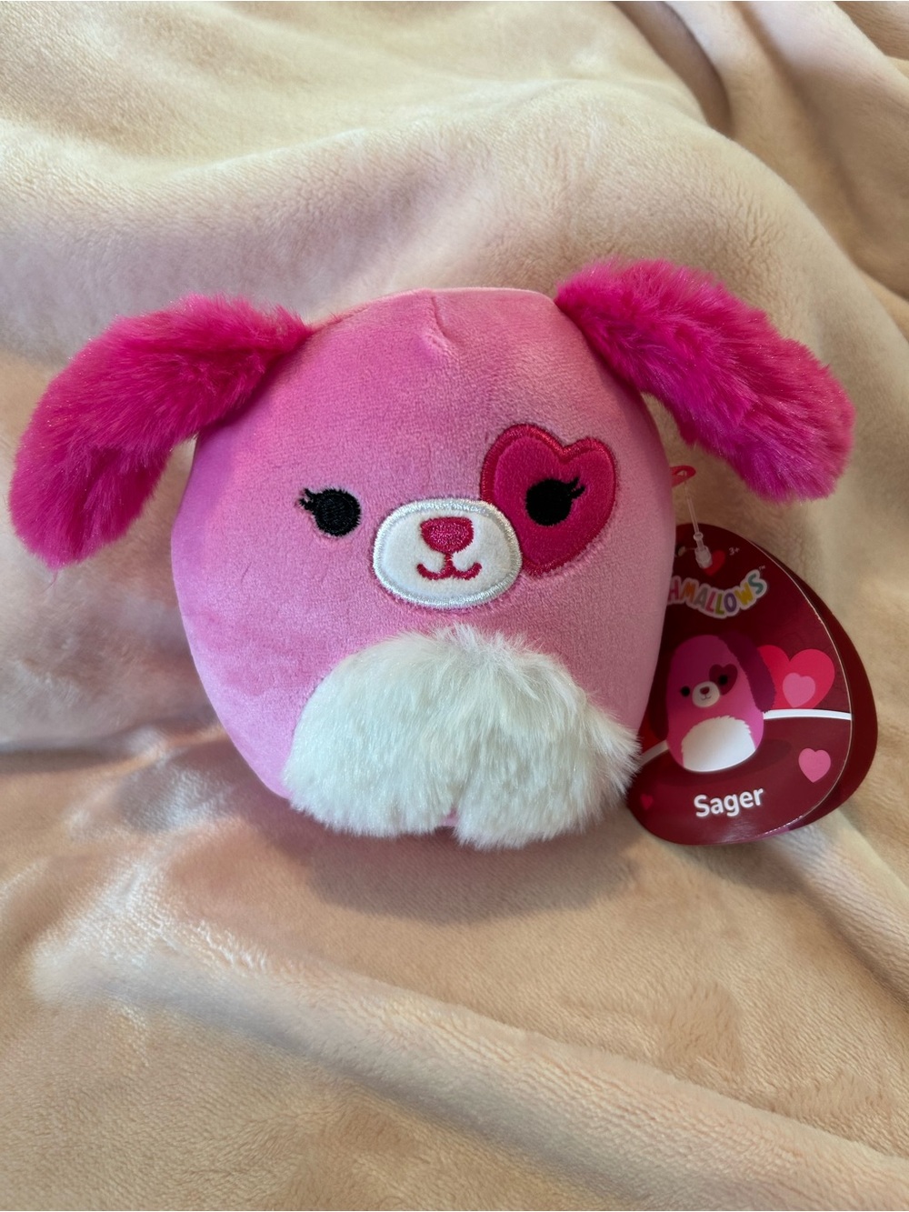 Sager Dog Valentine's Squishmallow 5"
